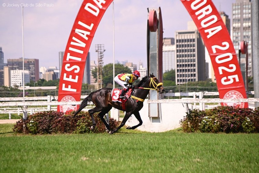 Em excelente forma, Quero Te Mucho prevalece no 'Consagração'